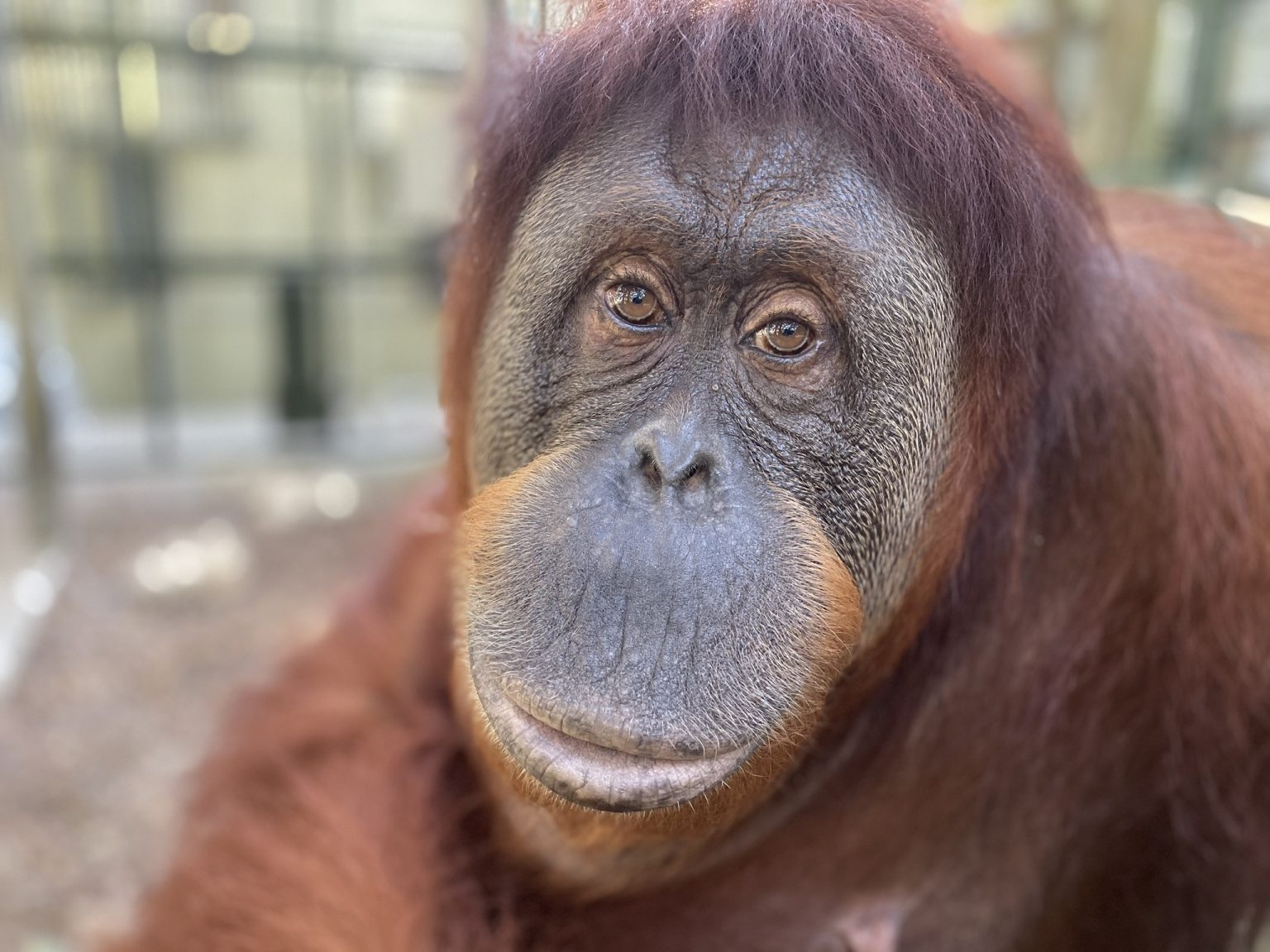 SUNSHINE/HARRIET profile