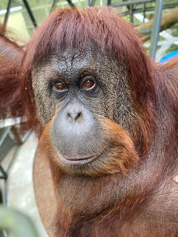 HANNA/HANNAH profile